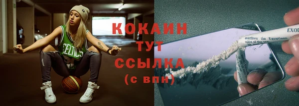 стаф Новодвинск