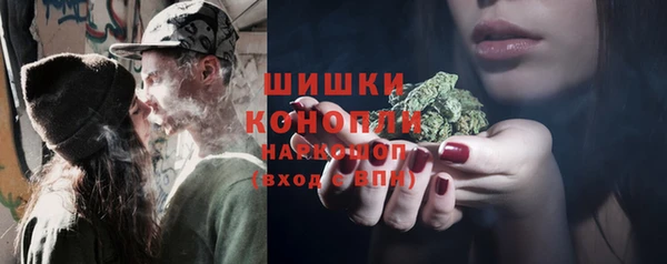 стаф Новодвинск