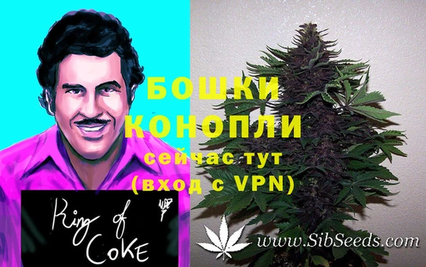 ешки Новозыбков