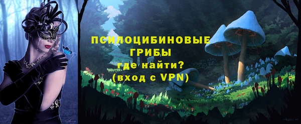 стаф Новодвинск